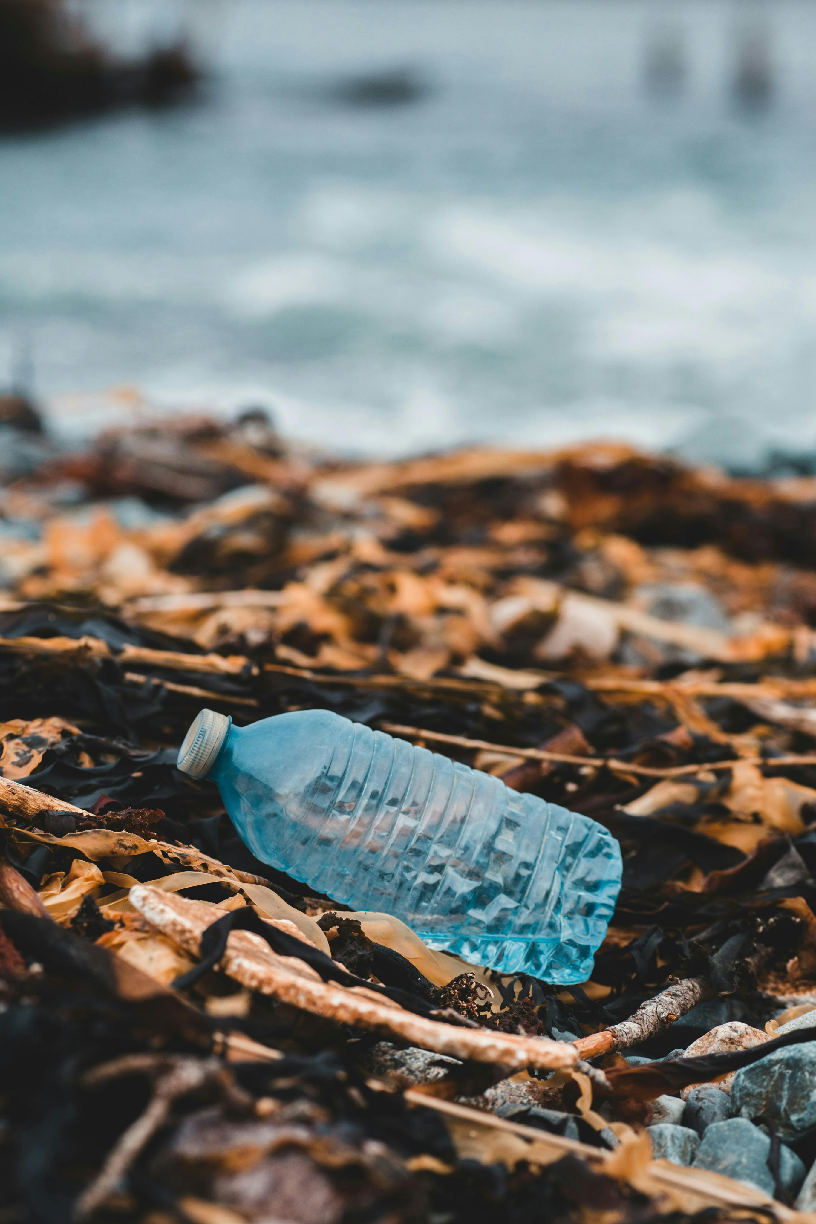 Photograph of a plastic bottle washed up on a beach