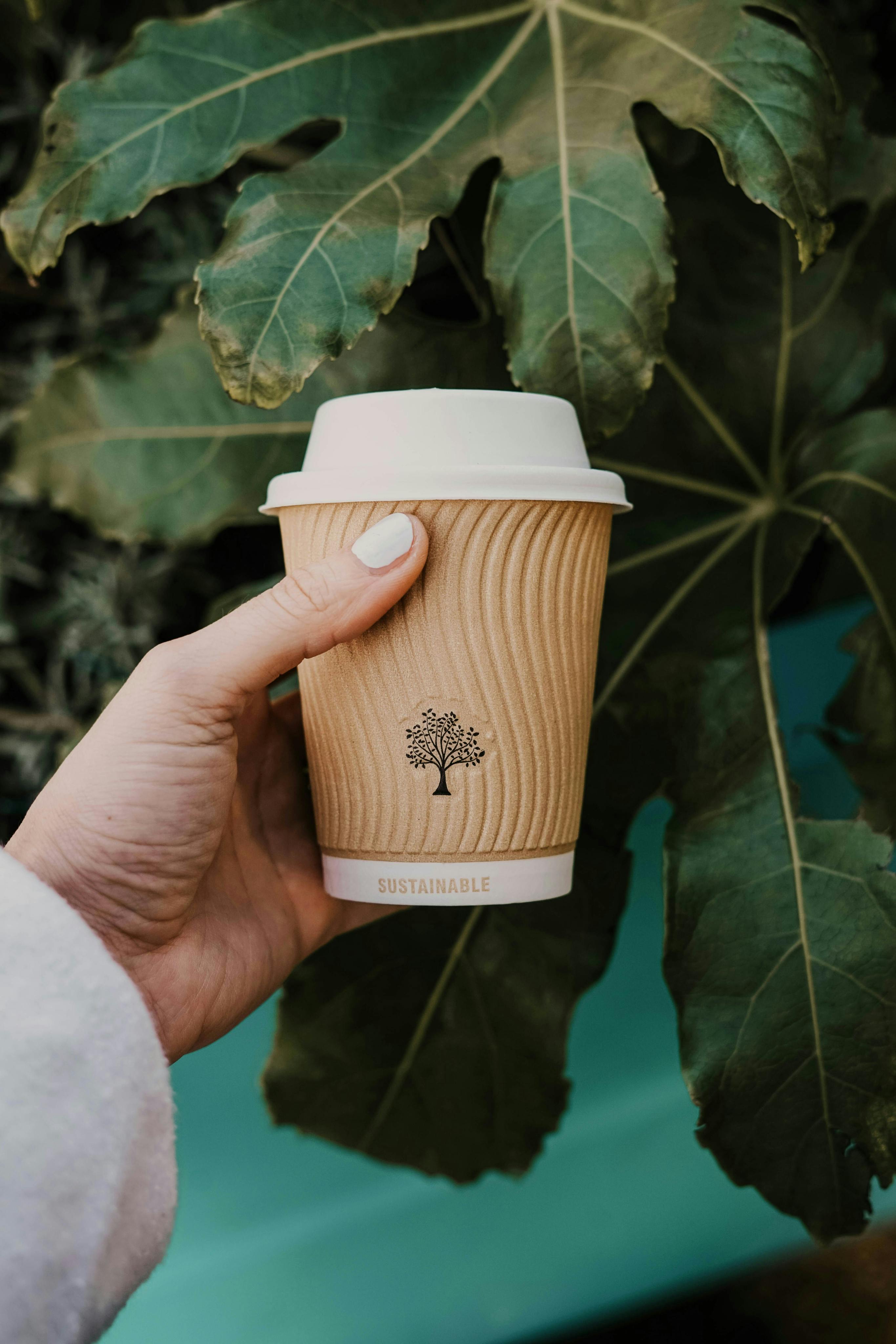 Photograph of a sustainable coffee cup being held in front of foliage